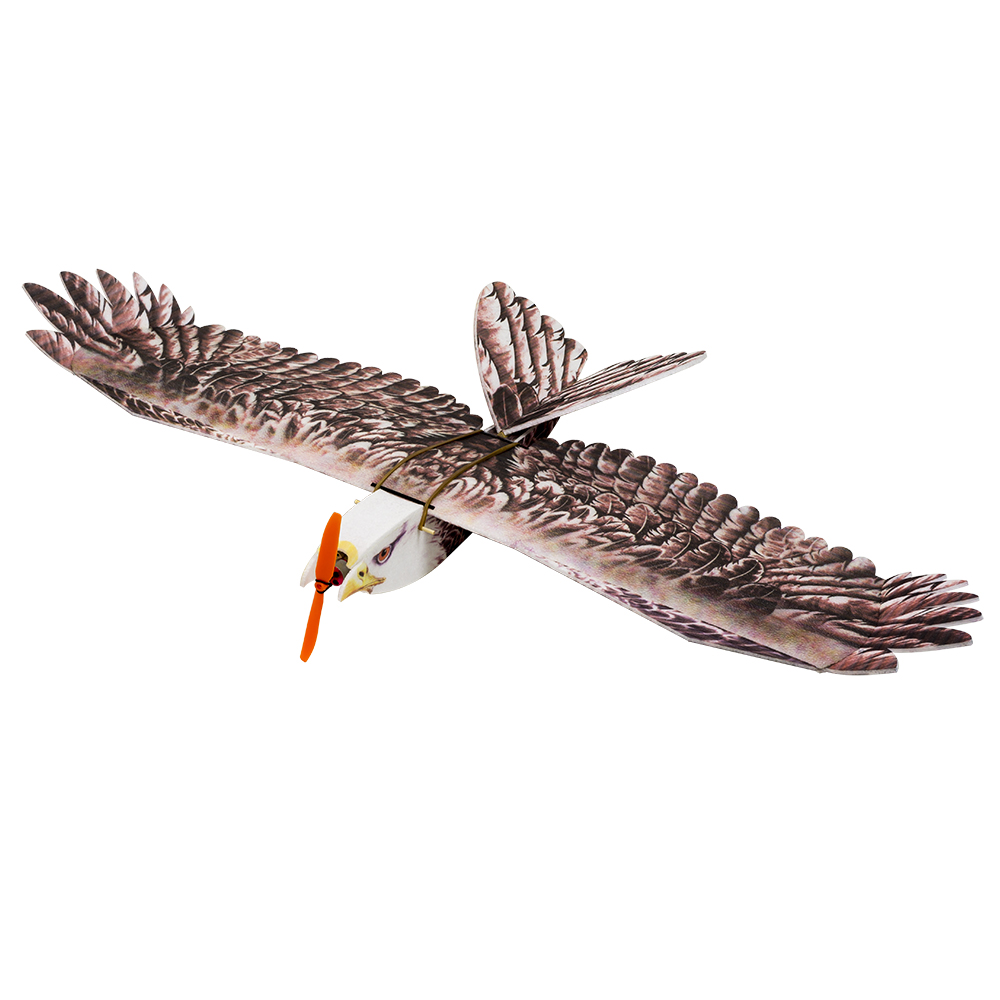 DW هوبي إيجل II EPP طائرة طائر - مراجعة Rc Hobby Plane وسعره