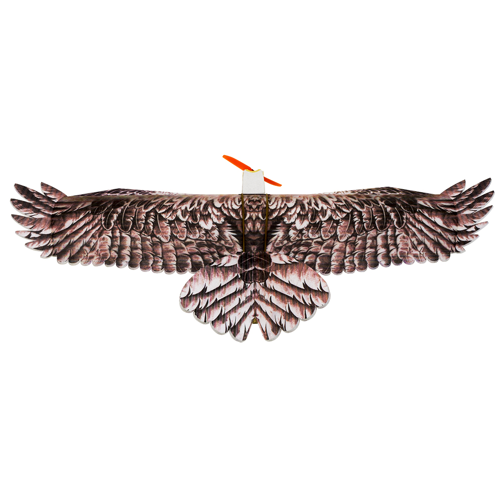 DW هوبي إيجل II EPP طائرة طائر - مراجعة Rc Hobby Plane وسعره
